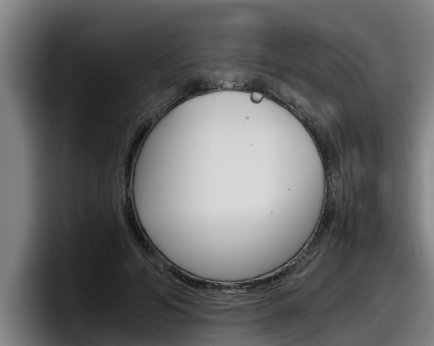 X0000098140594200804171122