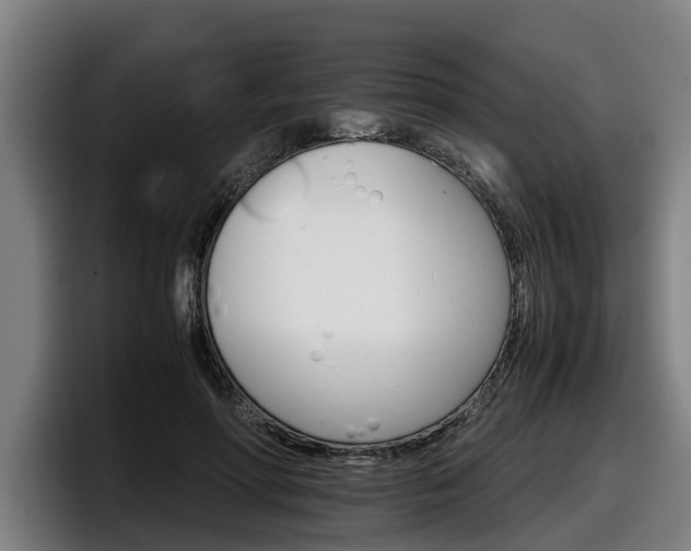 X0000098140598200804171122