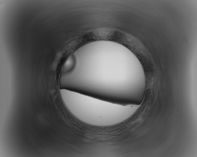 X0000098140599200804171122