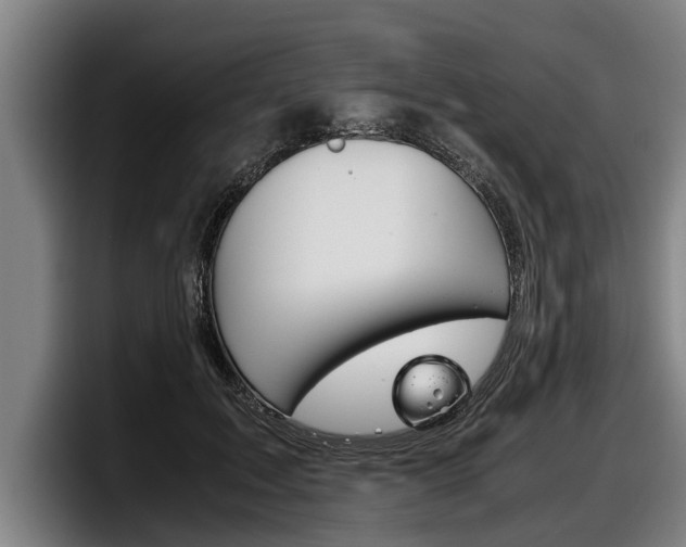 X0000098140603200804171122