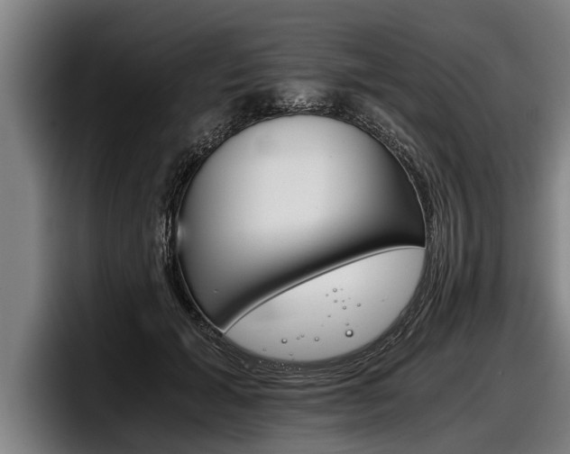 X0000098140605200804171122