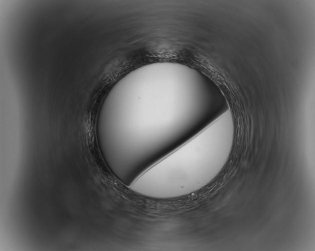 X0000098140609200804171122