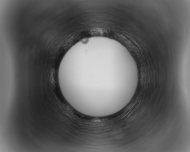 X0000098140616200804171122