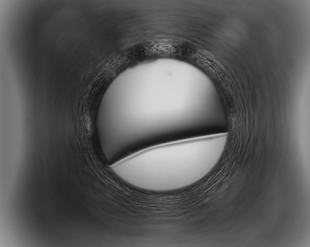 X0000098140617200804171122