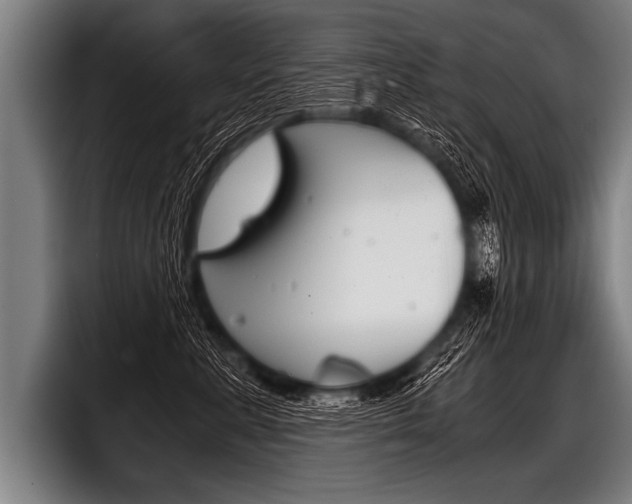 X0000098140619200804171121