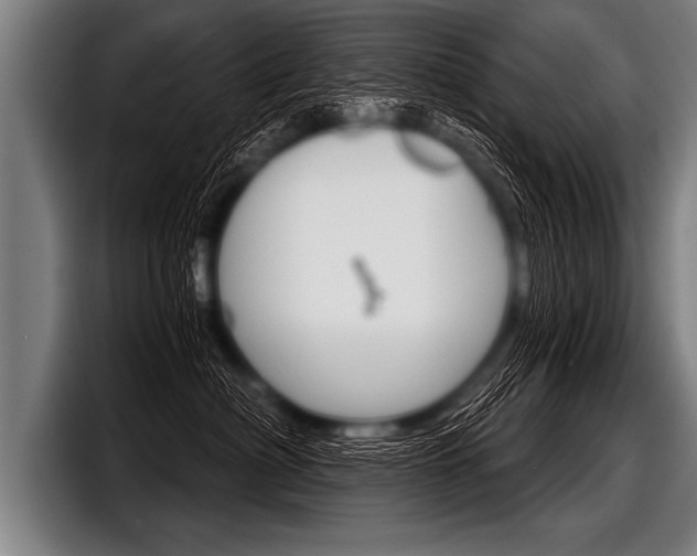 X0000098140622200804171121