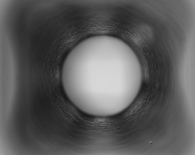 X0000098140624200804171121