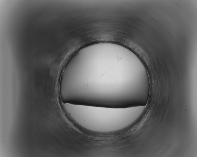 X0000098140625200804171121