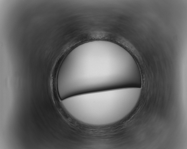 X0000098140626200804171121