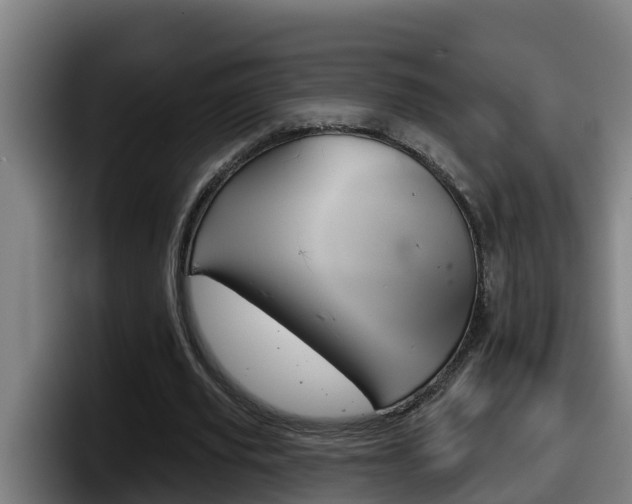 X0000098140629200804171121