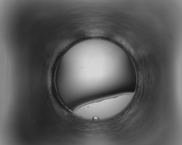 X0000098140631200804171121