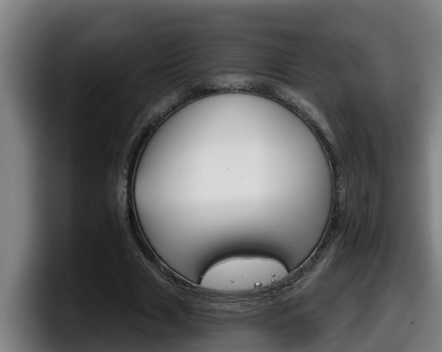 X0000098140633200804171121
