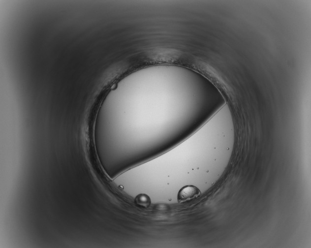 X0000098140634200804171121