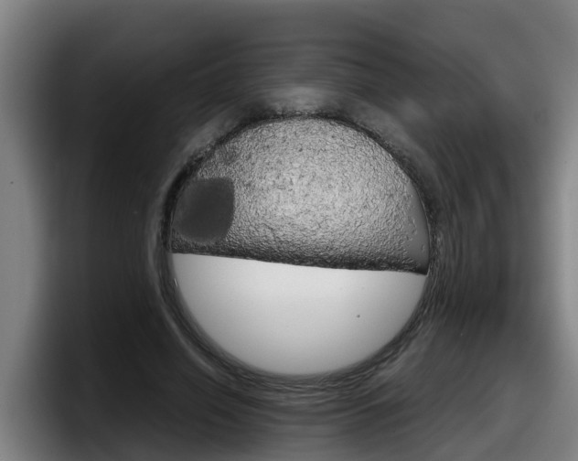 X0000098140638200804171121