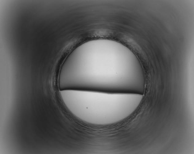 X0000098140640200804171121