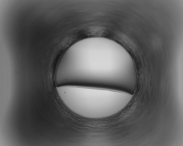 X0000098140641200804171121
