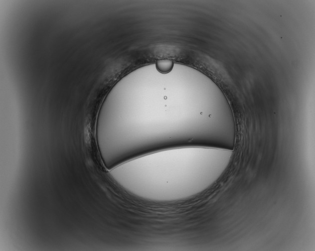 X0000098140644200804171121