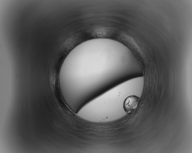X0000098140645200804171121