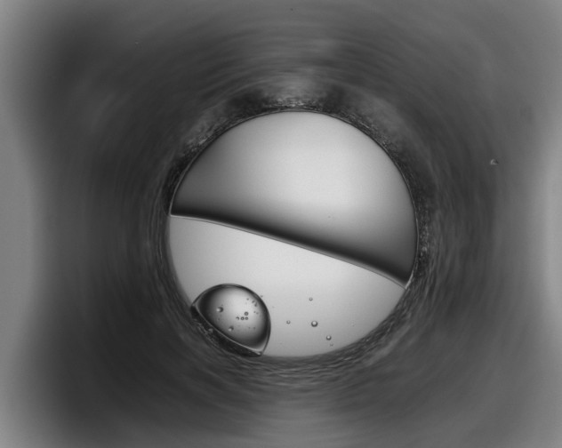 X0000098140646200804171121