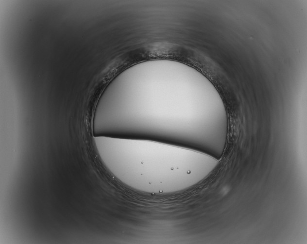 X0000098140648200804171121