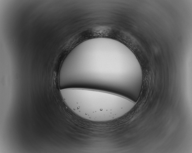 X0000098140649200804171121