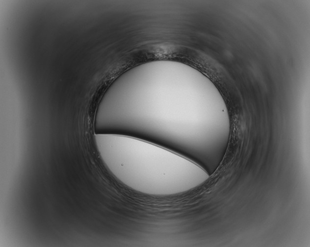X0000098140650200804171121