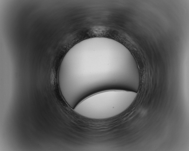 X0000098140651200804171121