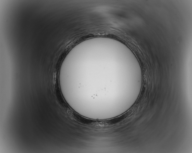 X0000098140652200804171121