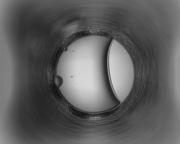 X0000098140653200804171121