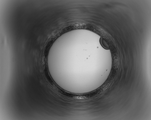 X0000098140654200804171121