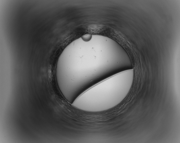 X0000098140655200804171121