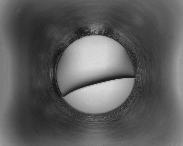 X0000098140656200804171121