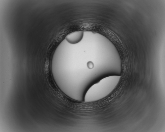 X0000098140660200804171121