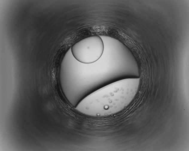 X0000098140662200804171121