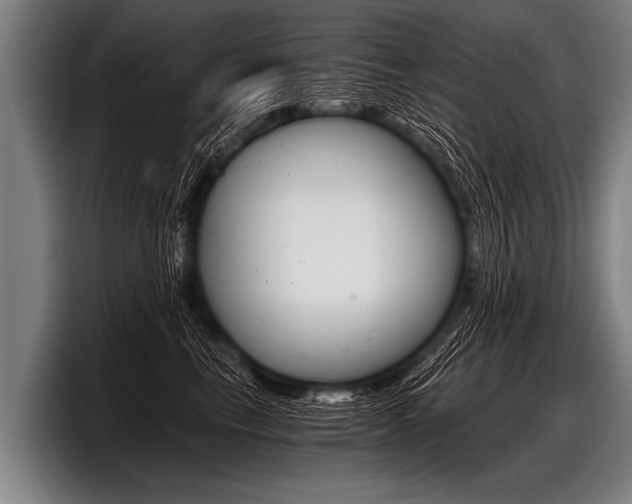 X0000098140665200804171121