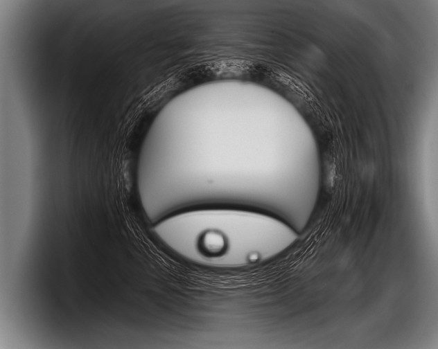 X0000098140666200804171121