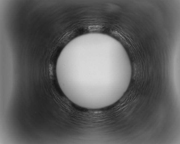 X0000098140667200804171121