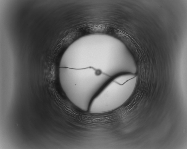 X0000098140668200804171121