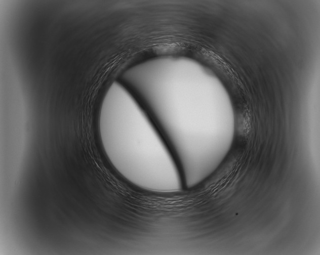 X0000098140670200804171121