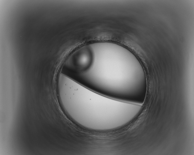 X0000098140673200804171121