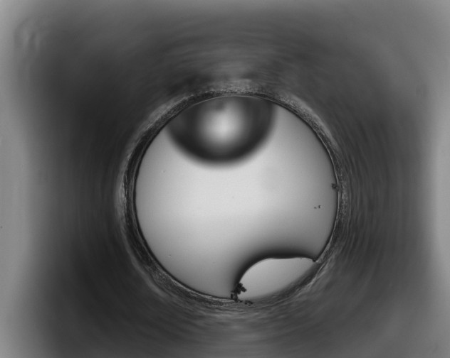 X0000098140674200804171121