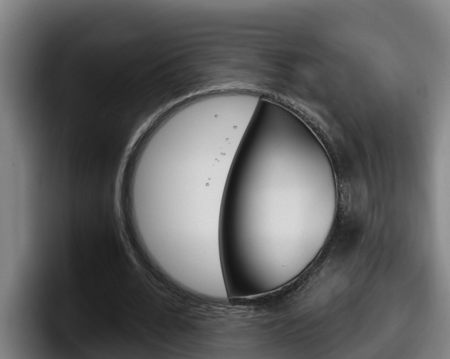 X0000098140676200804171121