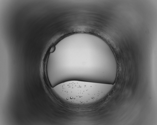 X0000098140678200804171121