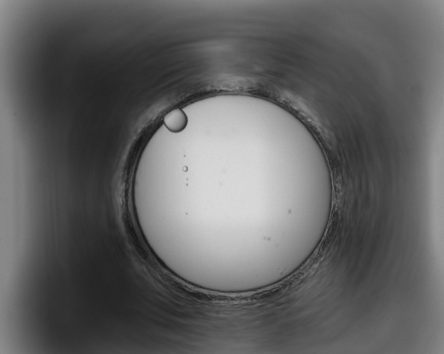 X0000098140679200804171121