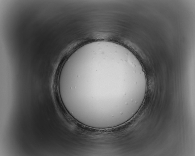 X0000098140682200804171121