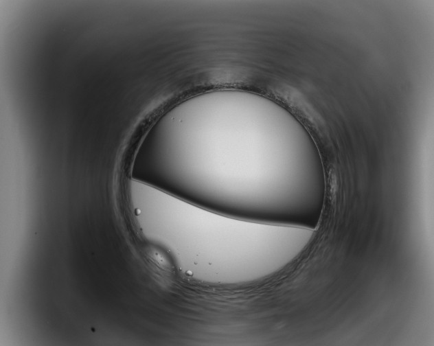 X0000098140684200804171121
