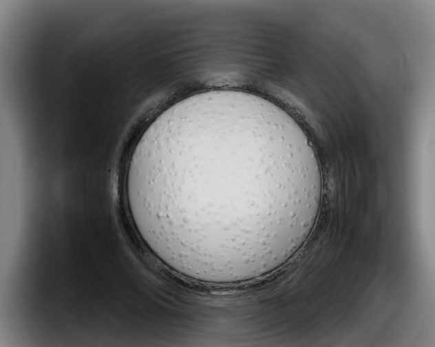 X0000098140686200804171121