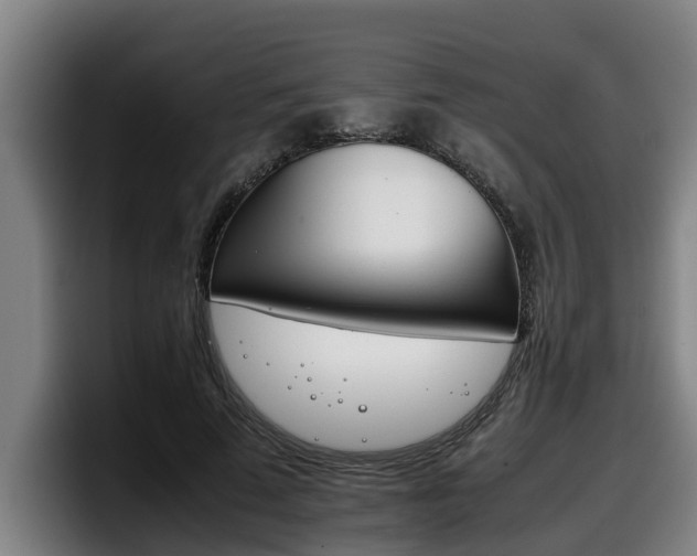 X0000098140689200804171121