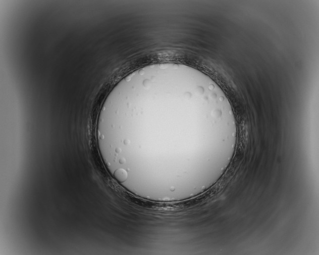 X0000098140698200804171120