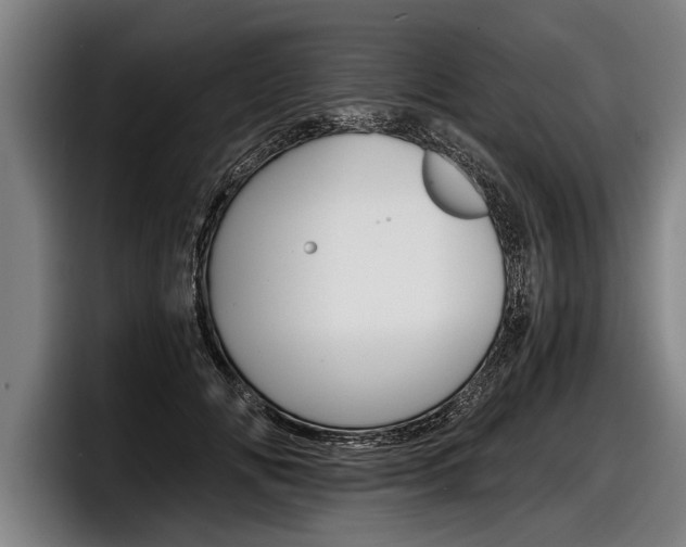 X0000098140702200804171120
